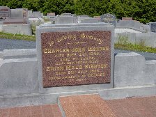 Full-size image