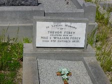 Full-size image
