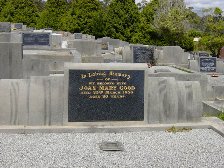 Full-size image