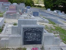 Full-size image