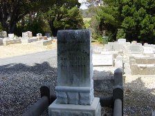 Full-size image