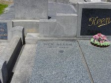 Full-size image