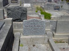 Full-size image