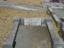 Full-size image