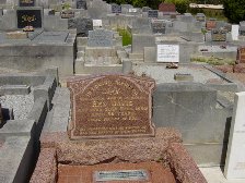 Full-size image