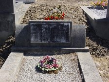 Full-size image