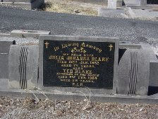 Full-size image