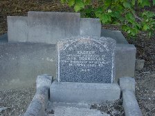 Full-size image
