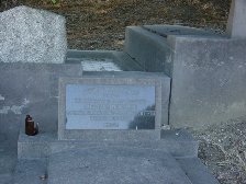 Full-size image