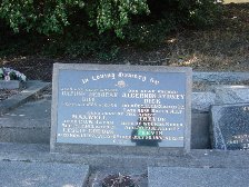Full-size image