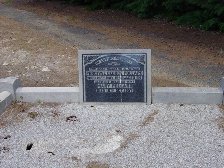 Full-size image