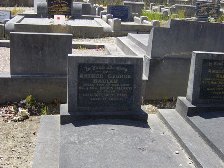 Full-size image