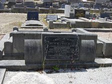 Full-size image