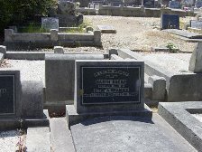 Full-size image