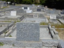 Full-size image