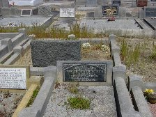 Full-size image