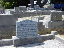 Full-size image
