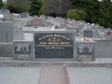 Full-size image