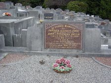 Full-size image