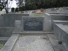 Full-size image
