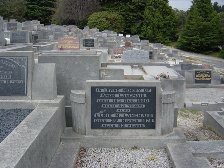 Full-size image