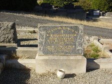 Full-size image