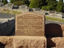Full-size image