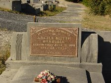 Full-size image
