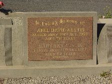Full-size image