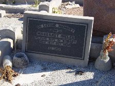 Full-size image