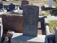 Full-size image