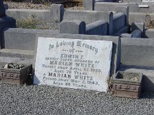 Full-size image