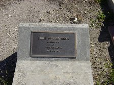 Full-size image