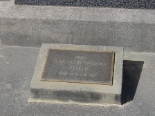 Full-size image