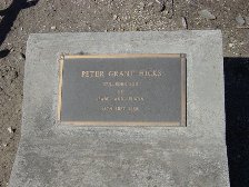 Full-size image