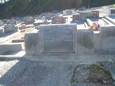 Full-size image