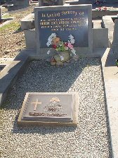 Full-size image