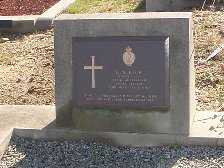 Full-size image