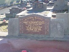 Full-size image