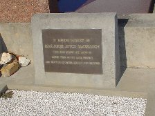 Full-size image