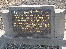 Full-size image