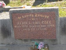 Full-size image