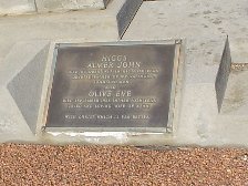 Full-size image