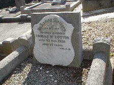 Full-size image