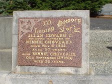 Full-size image