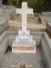 Full-size image