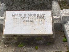 Full-size image