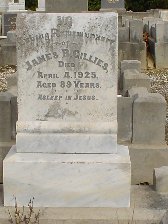 Full-size image