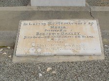 Full-size image