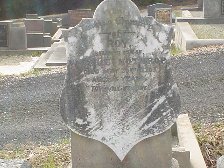 Full-size image